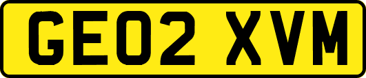 GE02XVM