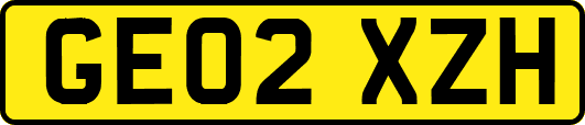 GE02XZH