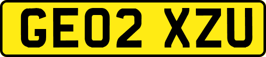 GE02XZU