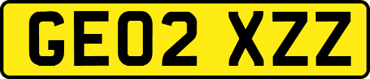 GE02XZZ