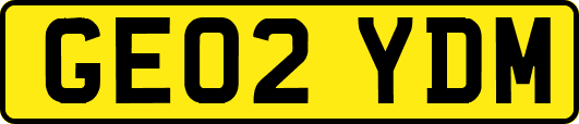 GE02YDM