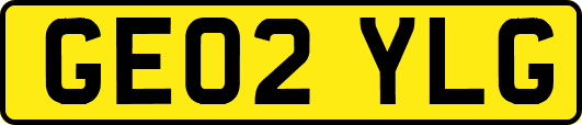 GE02YLG
