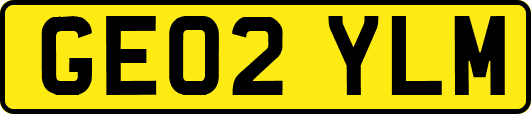 GE02YLM