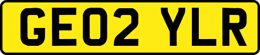 GE02YLR