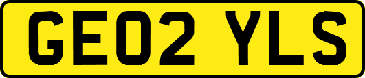 GE02YLS
