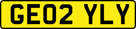 GE02YLY