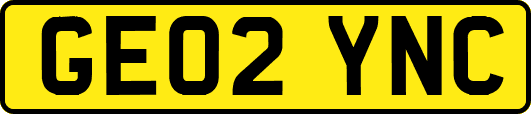 GE02YNC