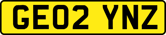 GE02YNZ
