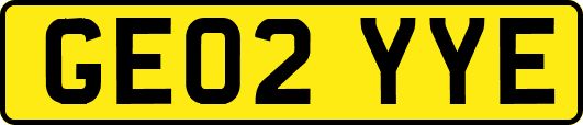 GE02YYE