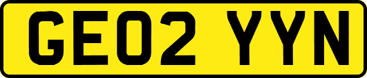 GE02YYN