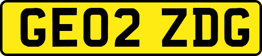 GE02ZDG