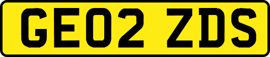 GE02ZDS