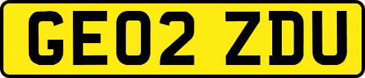 GE02ZDU