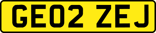 GE02ZEJ