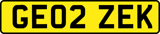 GE02ZEK