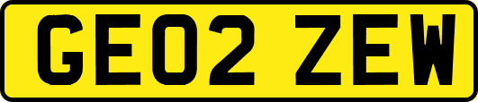 GE02ZEW