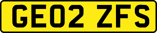 GE02ZFS
