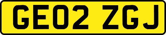 GE02ZGJ