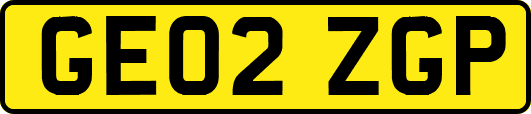 GE02ZGP