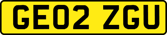GE02ZGU