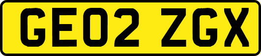 GE02ZGX