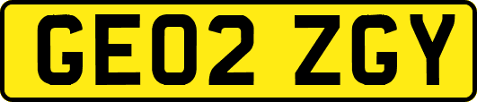 GE02ZGY
