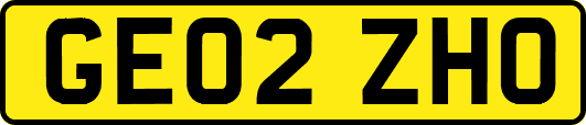 GE02ZHO
