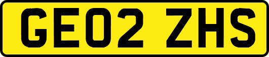 GE02ZHS