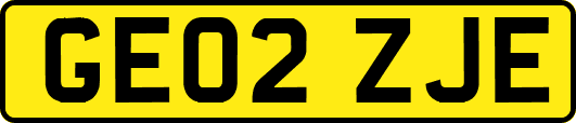 GE02ZJE