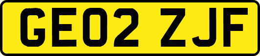 GE02ZJF