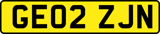 GE02ZJN