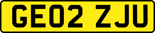 GE02ZJU