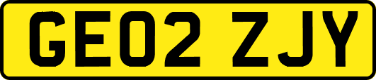 GE02ZJY