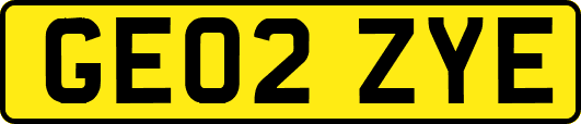 GE02ZYE