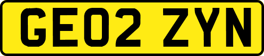 GE02ZYN