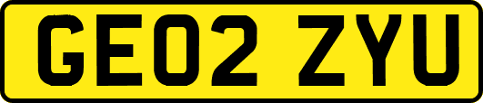 GE02ZYU