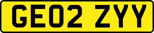 GE02ZYY
