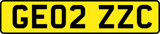 GE02ZZC