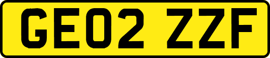 GE02ZZF