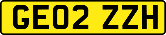 GE02ZZH