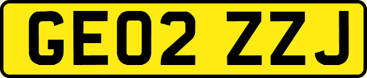 GE02ZZJ