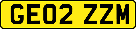GE02ZZM