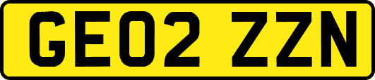 GE02ZZN
