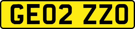 GE02ZZO