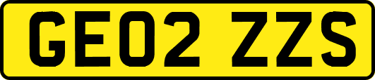 GE02ZZS