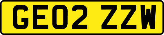 GE02ZZW
