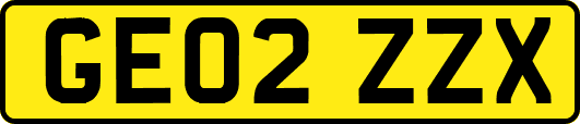 GE02ZZX