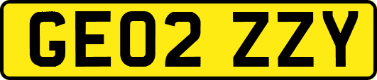 GE02ZZY