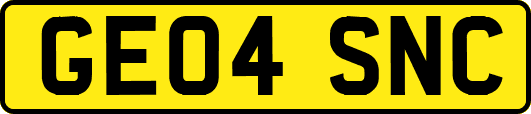 GE04SNC