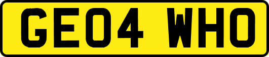 GE04WHO